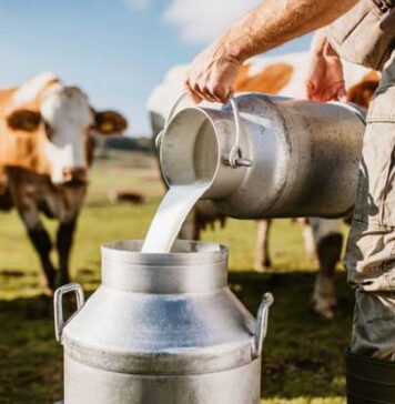 අලුත උපන් බිළිඳෙකු මිය ගිය පසු අමු කිරි පරිභෝජනයට එරෙහිව නිව් මෙක්සිකෝව අනතුරු අඟවයි