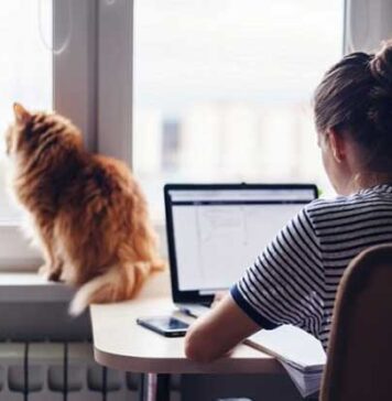 ගෝලීය අර්බුදය හමුවේ නිවසේ සිට වැඩ කිරීමට ලංකාවටත් සිදු වෙයිද?