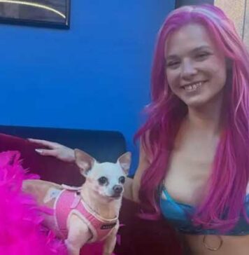 අමෙරිකානු හමුදා සාමාජිකයන්ගේ හැසිරීම් අමුතු වෙලා.. ක්ලබ් ඩාන්සර් කෙනෙක් හෙළි කරයි..